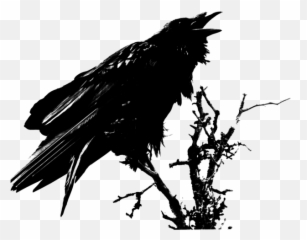 Crow Hird Birds Badluck Fairy Ftestickers - Art Edgar Allan Poe Raven Emoji,Crow Emoji
