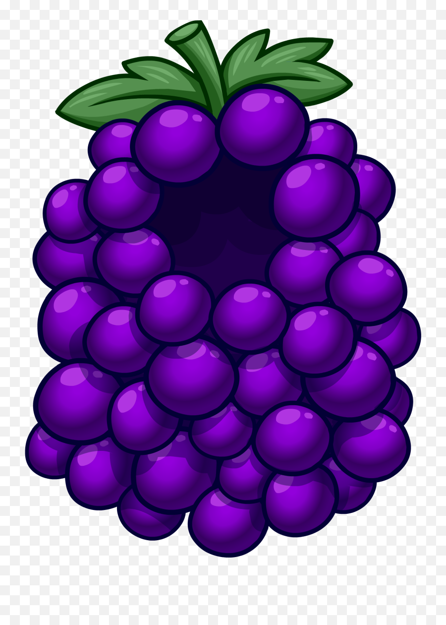 John Cena Clipart Grape - Grapes Costume For Nutrition Month Emoji,Grape Emoji Png