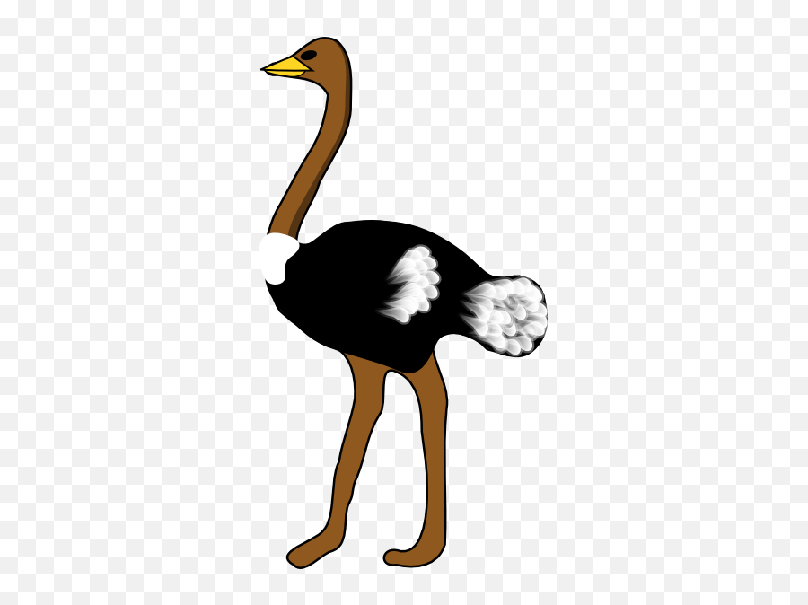 Ostrich Cliparts - Clip Art Library Clip Art Ostrich Emoji,Ostrich Emoji
