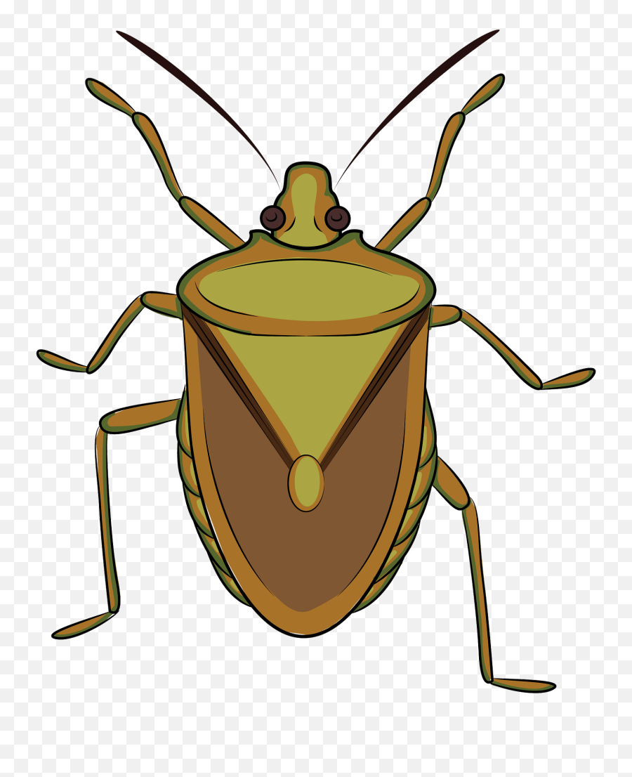 Brown Marmorated Stink Bug Clipart Free Download - Bug Clipart Emoji,Emoji Stinky