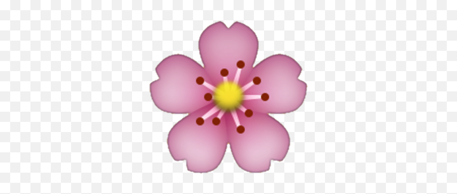 Flowers Flower Emoji Sticker - Cherry Blossom Emoji,Floweremoji