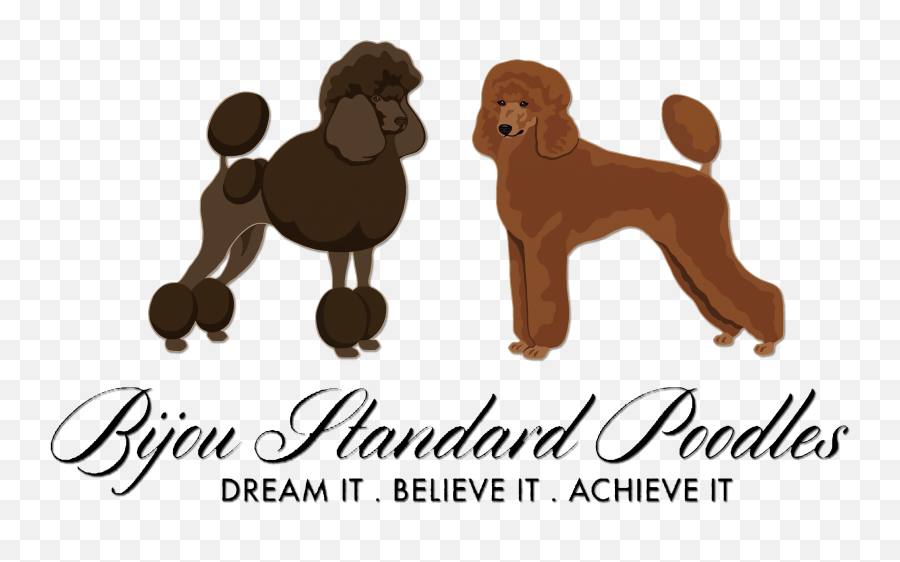 Teacup Svg Transparent Png Clipart - Poodles Logo Emoji,Coffee Poodle Emoji
