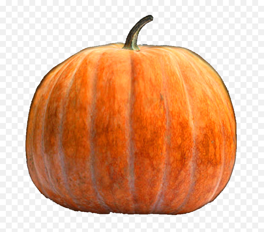 Pumpkin Carving - Pumpkin Emoji,Emoji Carved Pumpkin