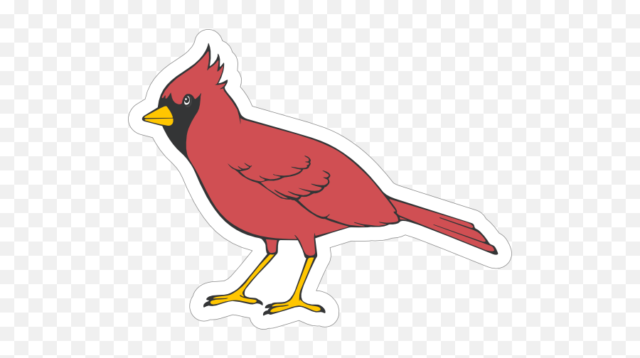 Cardinal Mascot Sticker - Stl Cardinal Clipart Transparent Png Emoji,Cardinal Bird Emoji