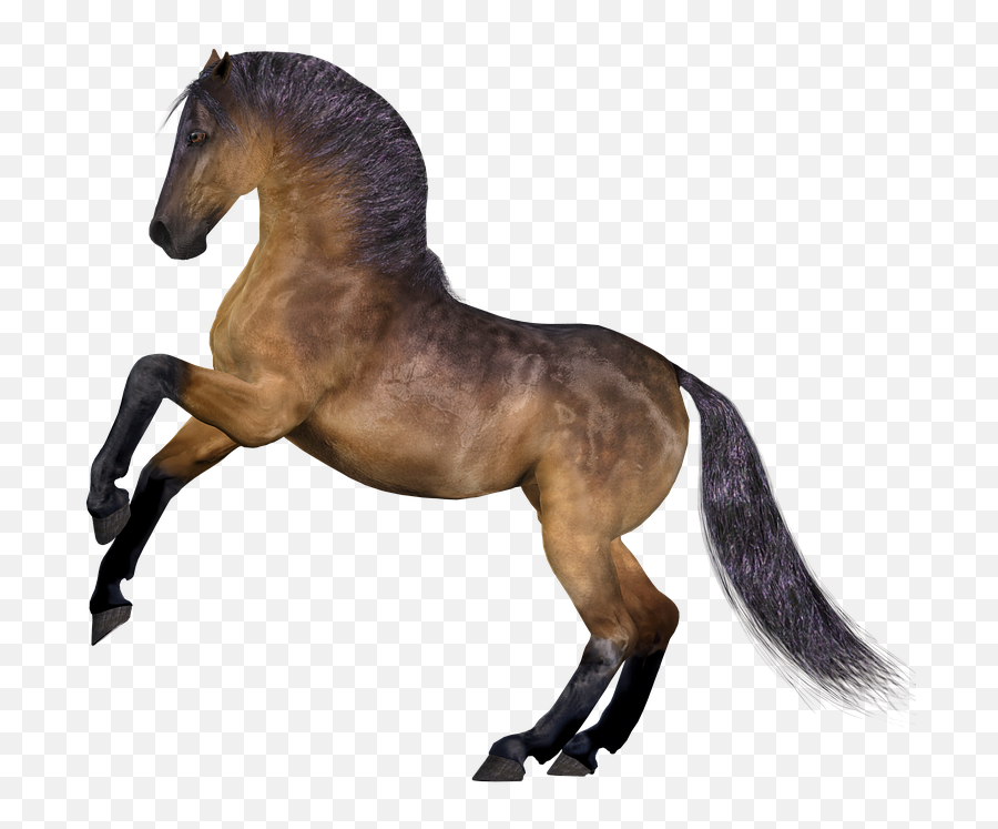 Free Mane Horse Illustrations - Kuda Png Emoji,Horse Arm Emoji