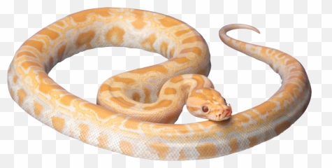 Snake Tongue Emoji - Transparent