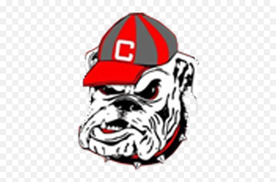 Dr - Georgia Bulldogs Dog Logo Emoji,Bulldog Emoticon