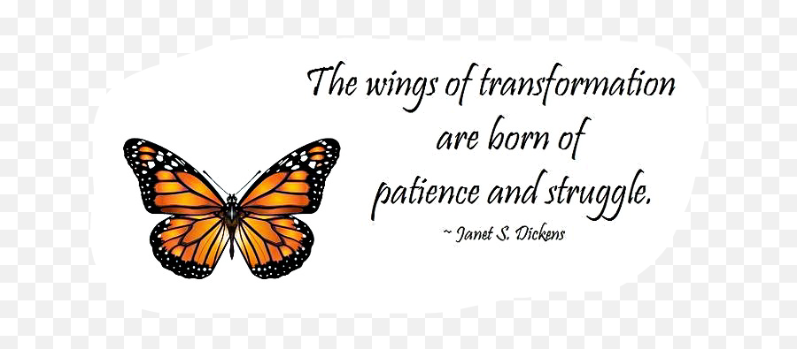 Wings Butterfly Patience Struggle Born - Quote Related To Butterfly Emoji,Patience Emoji