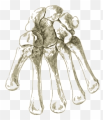 Bones In Hand - Carpal Emoji