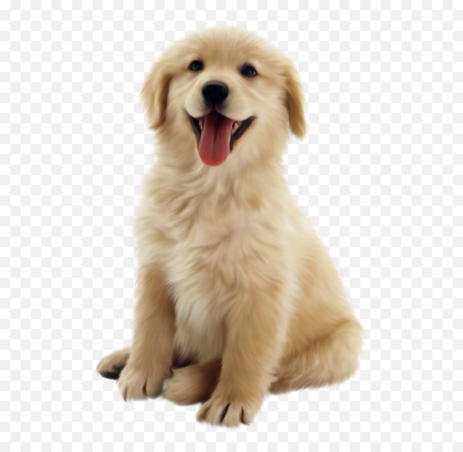 Golden Retriever Puppy Pet Clip Art - Transparent Golden Retriever Puppy Emoji,Golden Retriever Emoji