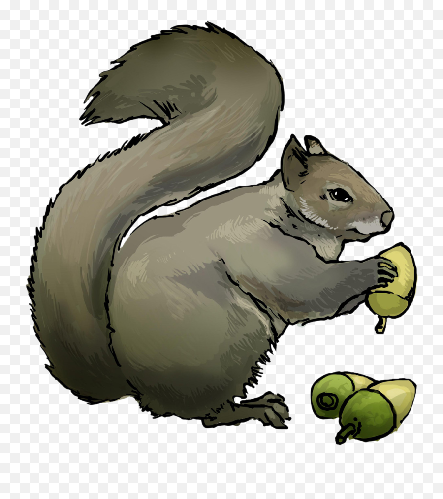 Clipart Squirrel Easy Transparent - Squirrel Eating Clip Art Emoji,Squirrel Emoticon