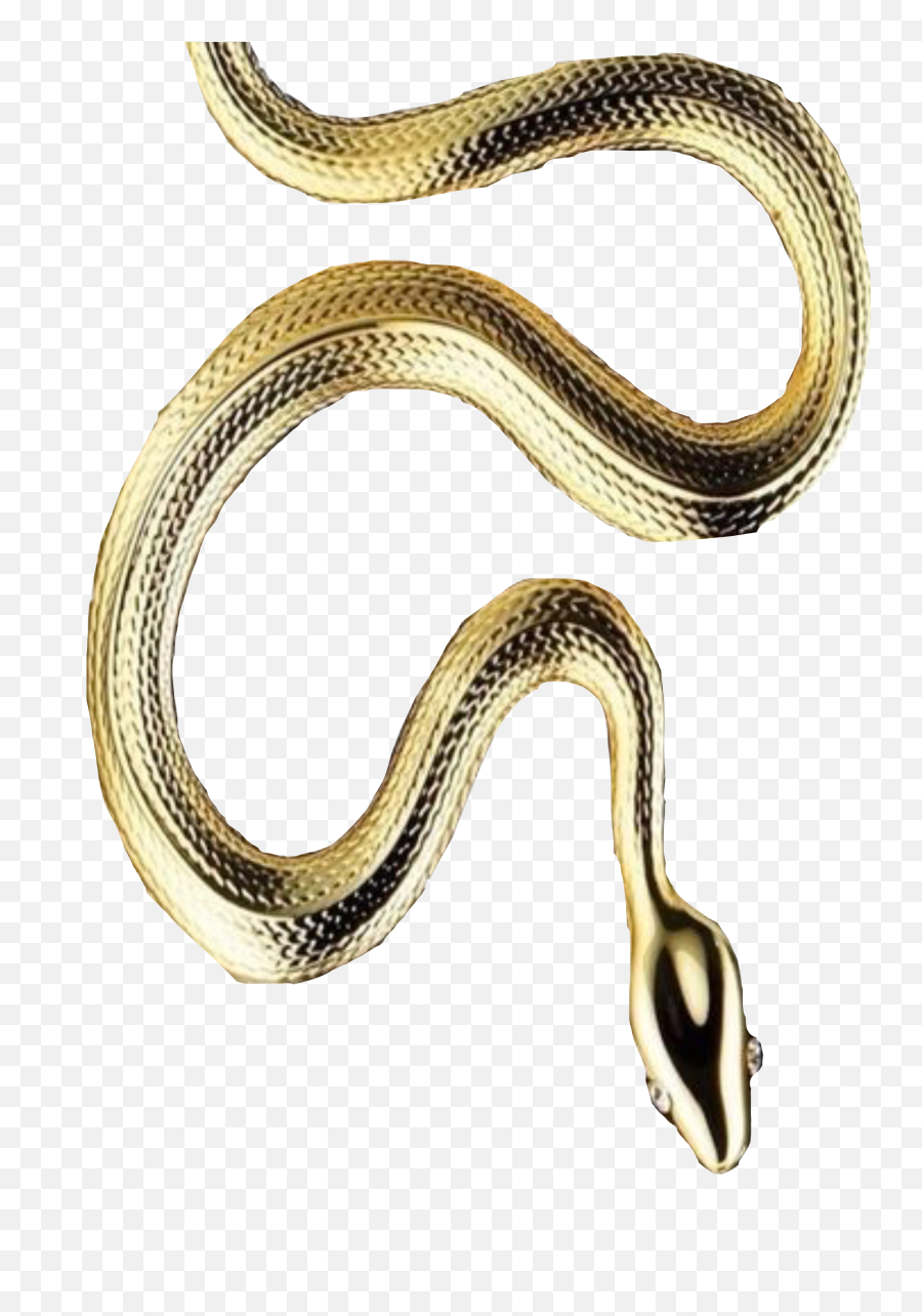 Trending Snake Stickers - Serpent Emoji,Emoji Snake Real