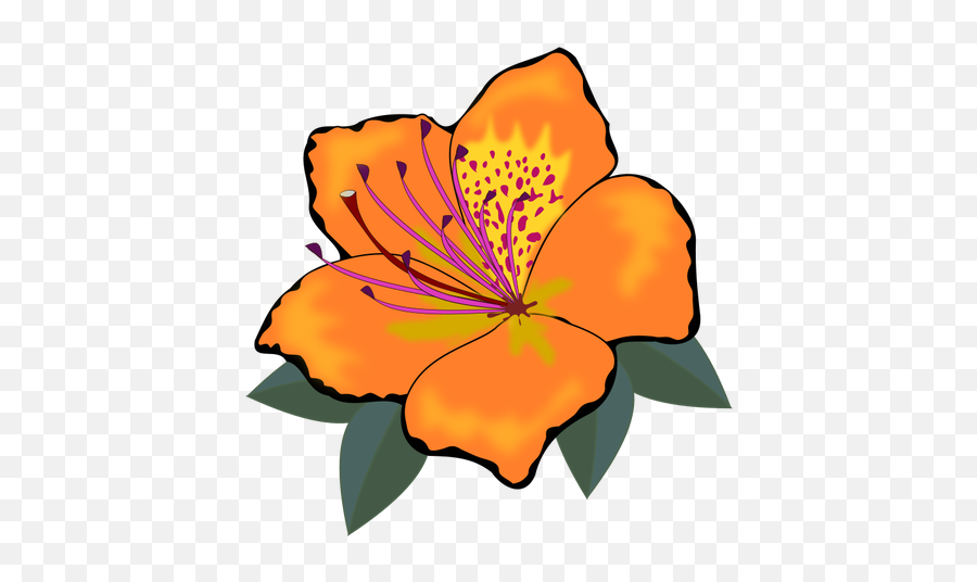 Orange Flower With Leaves - Amaryllis Clip Art Emoji,Four Leaf Clover Emoji