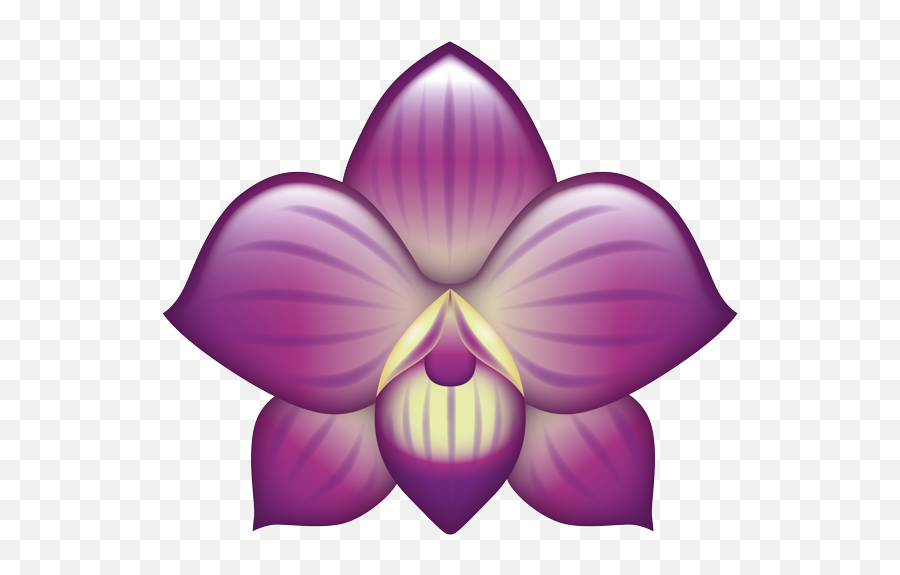 Purple Orchid Blossom - Cattleya Emoji,Orchid Emoji