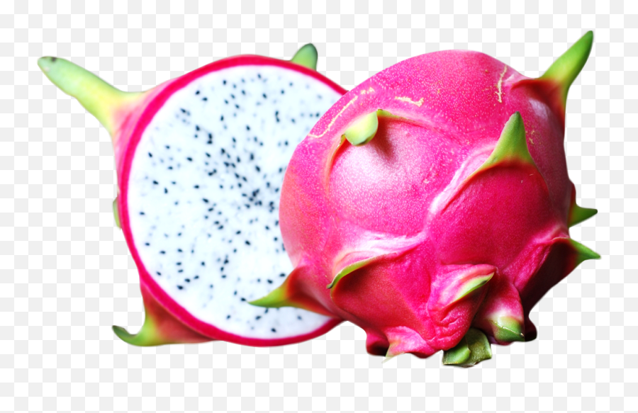 Fruit Transparent Png Clipart - Dragon Fruit Images Png Emoji,Dragon Fruit Emoji