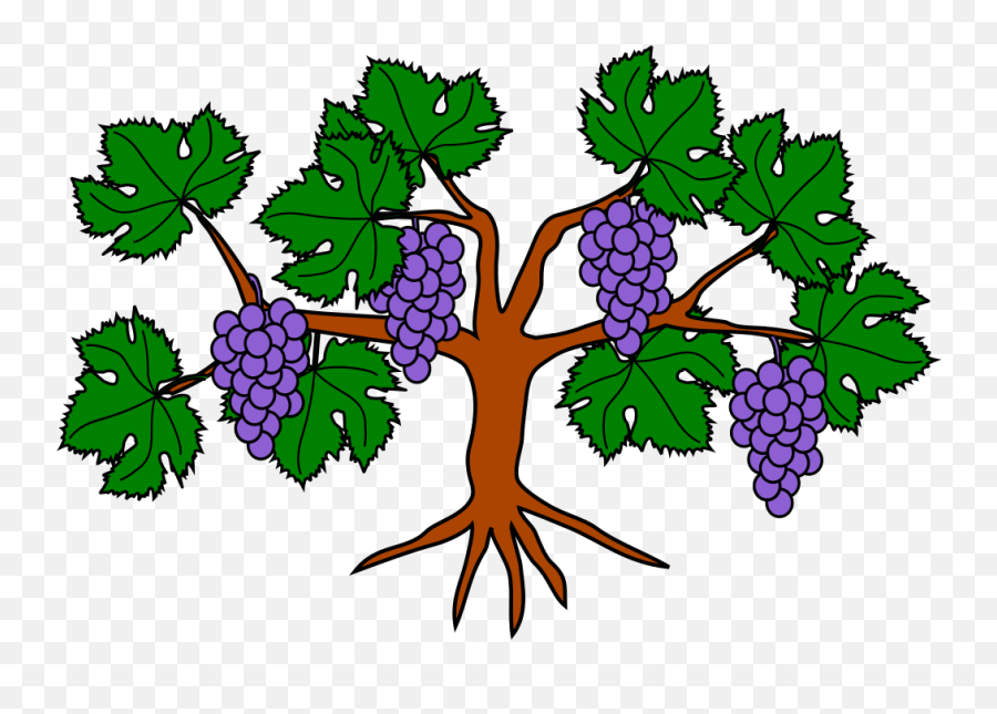 320 226 Pixels - Heraldic Grapes Png Clipart Full Size Clip Art Grape Tree Emoji,Grapes Emoji