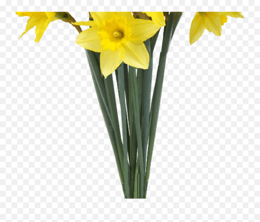 Spring Flowers Png - Flower Png Transparent Background Transparent Spring Flowers Emoji,Daffodil Emoji