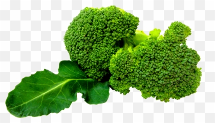 Broccoli Clipart Broccoli Plant Broccoli Broccoli Plant - Broccoli Png Emoji,Broccoli Emoji