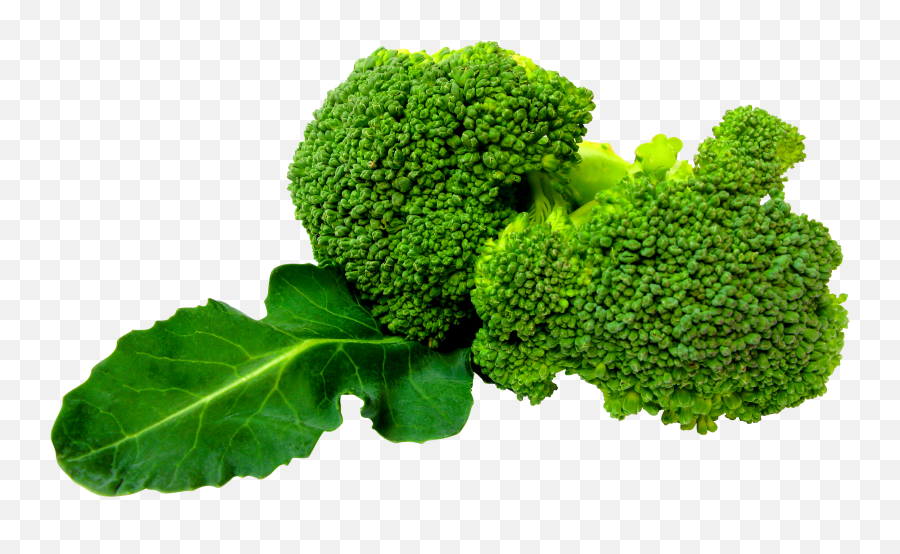 Broccoli Clipart Broccoli Plant Broccoli Broccoli Plant - Broccoli Png Emoji,Broccoli Emoji