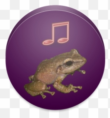 Coqui Ringtone Apk App - Coqui Frog Emoji,Spongebob Emoji Keyboard