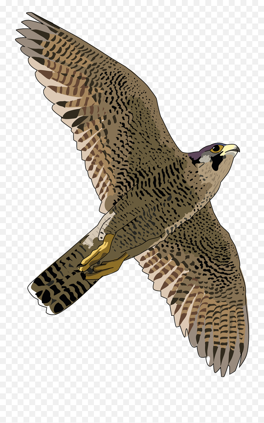 Falcon In Flight Clipart Free Download Transparent Png - Flying Peregrine Falcon Png Emoji,Vulture Emoji