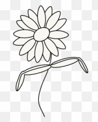 How To Draw A Daisy - Small Daisy Drawing Easy Emoji,White Flower Emoji
