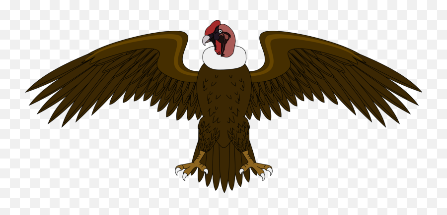 Vulture Vector California Condor - Condor Png Emoji,Vulture Emoji
