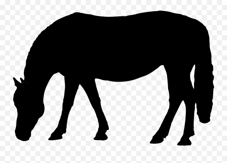 Horse Clip Different Body Transparent - Outline Of Horse Eating Emoji,Horse And Airplane Emoji