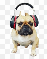 Bulldog Bulldogfrances Dog Headphone - French Bulldog Emoji,Bulldog Emoji