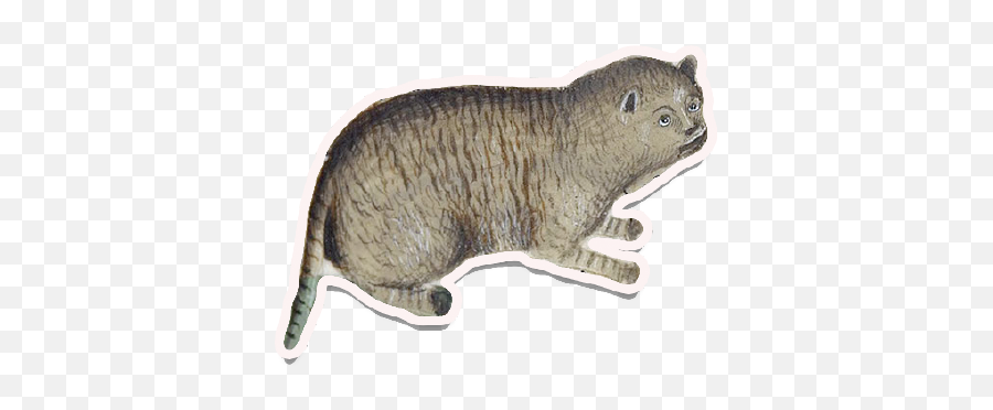 Medieval Cats By Dean Powell - 15th Century Cats Emoji,Mongoose Emoji