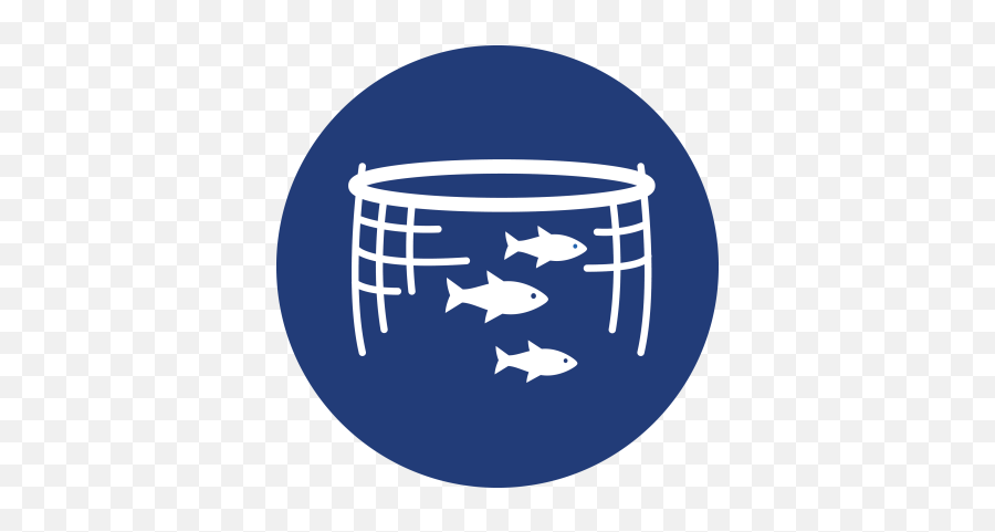 Free Png Images - Dlpngcom Aquaculture Png Emoji,Magnifying Glass Fish Emoji