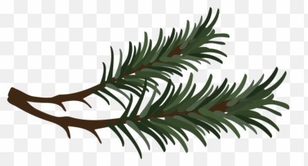 Drawing Needle Vector Picture - Pine Clipart Emoji