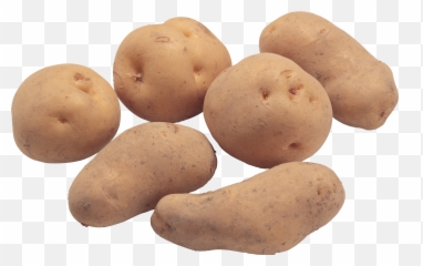 Potato Clipart Russet Potato Russet - Papas Crudas Png Emoji,Potato Emoji