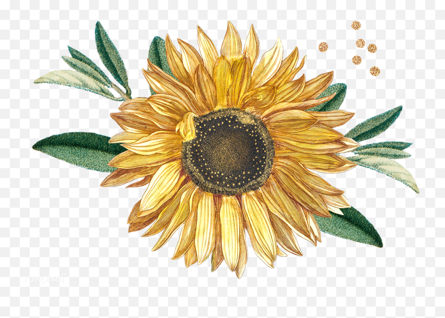 Download Premium Png Of Blooming Sunflower Design Element Transparent Png - 2 Sunflowers Vintage Emoji,White Flower Emoji