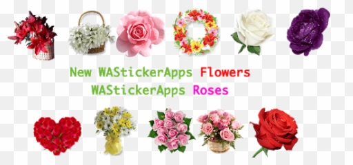 Flowers Stickers - Hybrid Tea Rose Emoji,Roses Emoticon