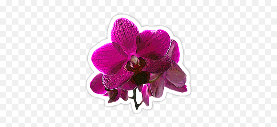 Purple Orchid Sticker - Artificial Flower Emoji,Orchid Emoji