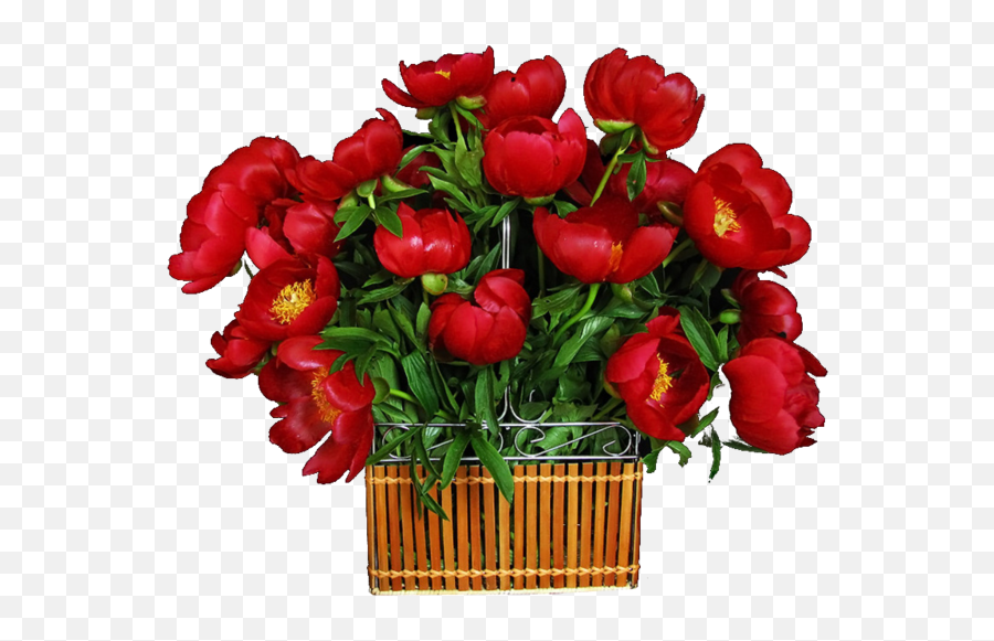 Flower Boquet - Red Flowers Black Background Emoji,Boquet Emoji
