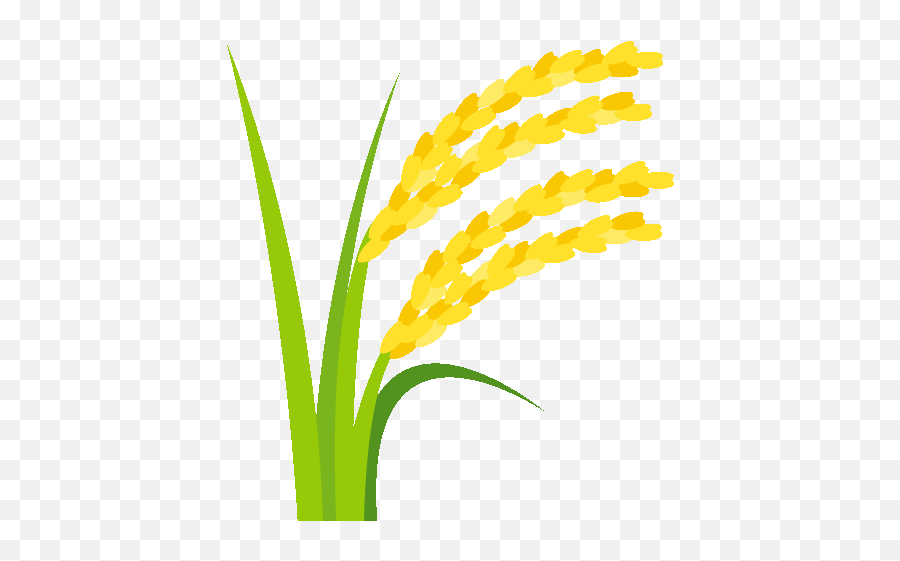 Sheaf Of Rice Nature Gif - Sheafofrice Nature Joypixels Discover U0026 Share Gifs Espigas De Arroz Png Emoji,Rice Emoji