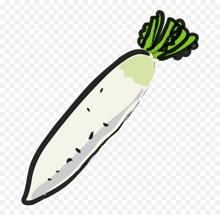 Daikon - Root Vegetable Clipart Free Download Transparent Superfood Emoji,Turnip Emoji