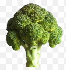 Broccoli - Deku Broccoli Emoji,Broccoli Emoji