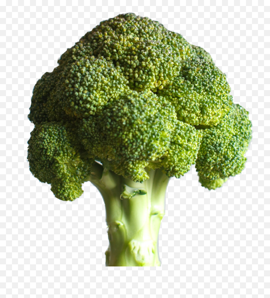 Broccoli - Deku Broccoli Emoji,Broccoli Emoji