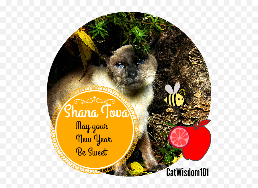 Purrfect Jewish New Year - Shana Tova Cats Emoji,Jewish Emojis