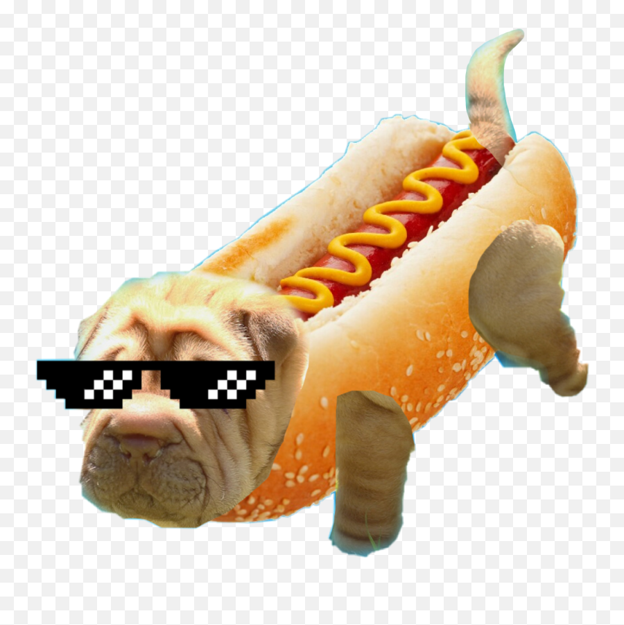 This Is One Hot Dog - Hot Dog Close Up Emoji,Emoji Hot Dog
