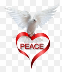 Ftestickers Scpeace Dove Peace Heart - Love Pigeon Png Emoji,Dove Of Peace Emoji