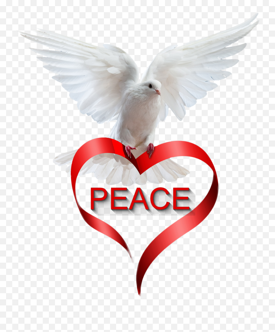 Ftestickers Scpeace Dove Peace Heart - Love Pigeon Png Emoji,Dove Of Peace Emoji