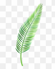 Transparent Leaf Clip Art - Palm Clipart Png Emoji