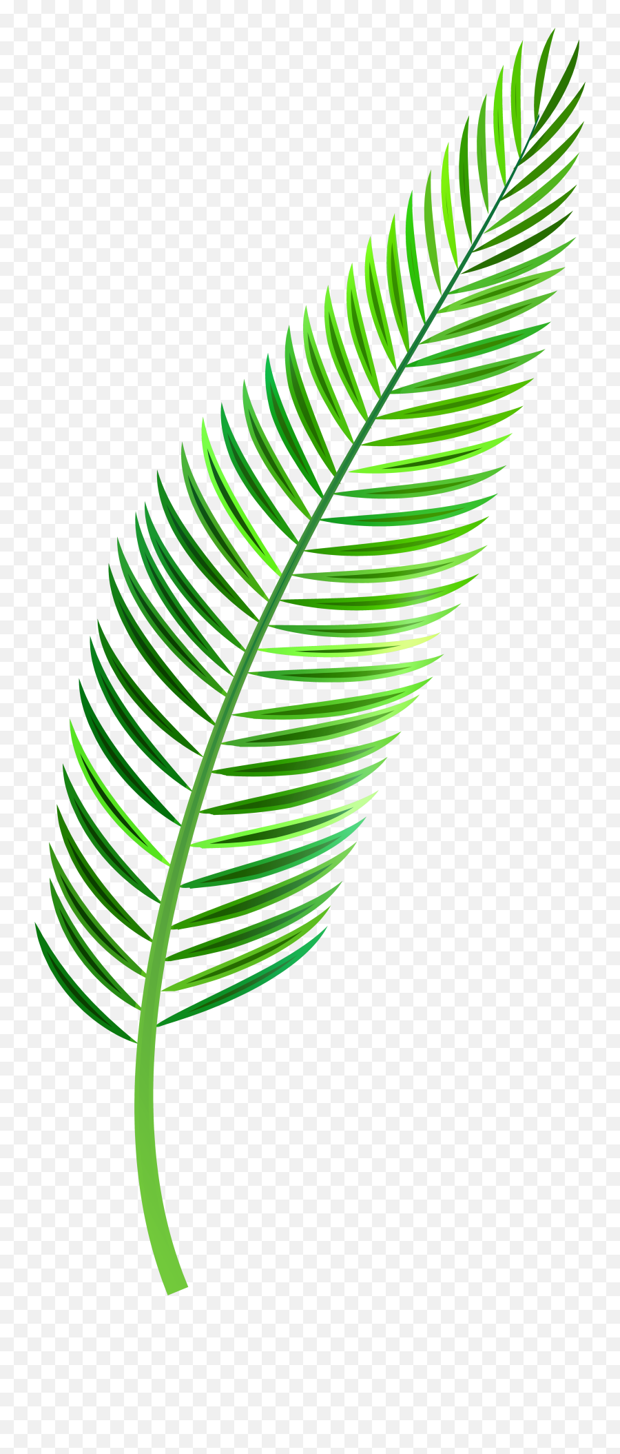 Transparent Leaf Clip Art - Palm Leaf Clipart Png Emoji,Fall Leaf Emoji