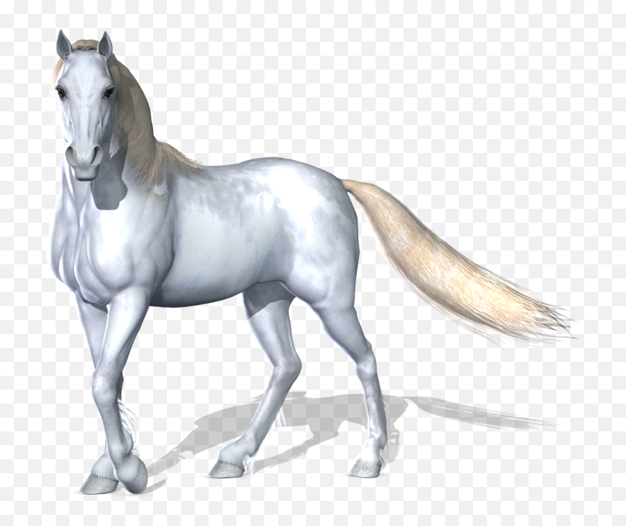 3d Horse Png 1 - Cartoon White Horse Clipart Emoji,Horse Emoji Png