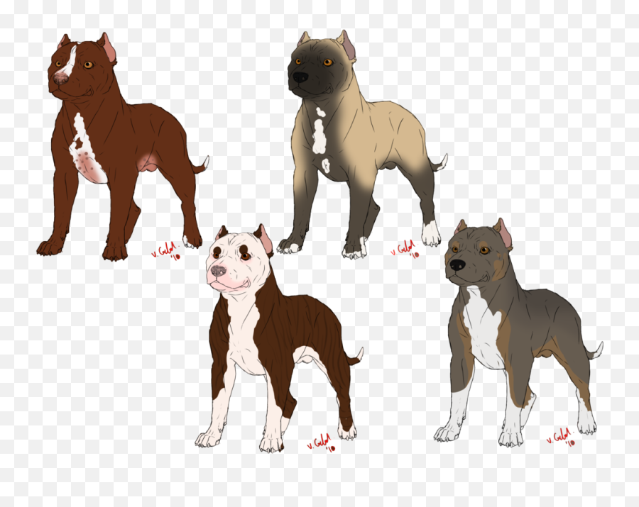 American Bully American Pit Bull - Draw American Bully Emoji,Pit Bull Emoji