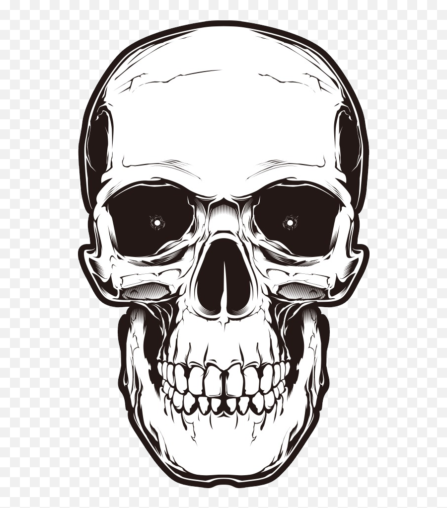 Skulls Png Image - Transparent Background Skull Tattoo Png Emoji,Turtle Skull Emoji